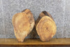 Thumbnail for 2- Rustic Live Edge Round Cut Maple DIY Charcuterie Boards/Slabs 40287-40288