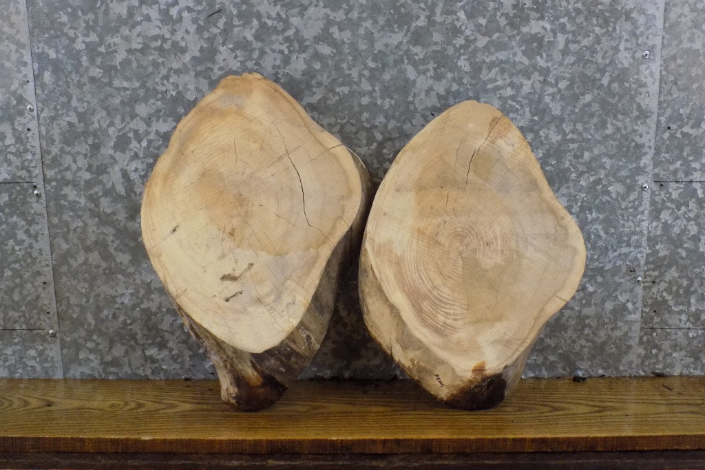 2- Rustic Live Edge Round Cut Maple DIY Charcuterie Boards/Slabs 40287-40288