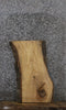 Thumbnail for Ash Live Edge Charcuterie/End Table Slab 40290