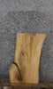 Thumbnail for Ash Live Edge Charcuterie/End Table Slab 40290