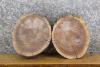 Thumbnail for 2- Round Cut Live Edge Rustic Black Walnut Taxidermy Bases 40293-40294