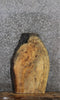 Thumbnail for Spalted Maple Live Edge Coffee/End Table 40296
