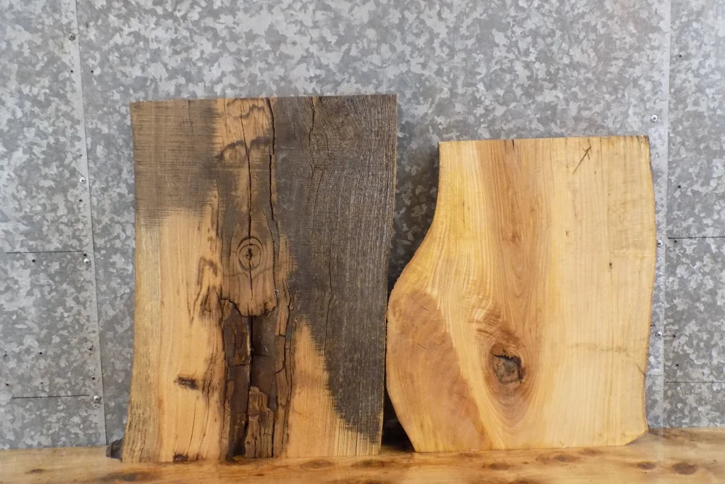 2- Live Edge Salvaged Ash Taxidermy Mount Slabs, End Table Tops 40304-40305