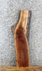 Thumbnail for Live Edge Thick Cut Black Walnut Entry/Side Table Top Slab 40308