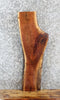 Thumbnail for Live Edge Thick Cut Black Walnut Entry/Side Table Top Slab 40308