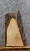 Thumbnail for Live Edge Maple Taxidermy Mount/End Table Top Slab 40315