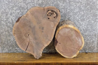 Thumbnail for 2- Reclaimed Live Edge Black Walnut Round Cut Craft Pack Slabs 40334-40335