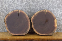 Thumbnail for 2- Rustic Live Edge Black Walnut Round Cut Display Stand Bases 40341-40342