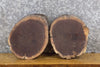 Thumbnail for 2- Salvaged Live Edge Black Walnut Round Cut Craft Pack Slabs 40349-40350
