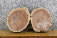 Thumbnail for 2- Salvaged Live Edge Black Walnut Round Cut Craft Pack Slabs 40349-40350
