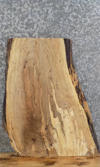 Thumbnail for Live Edge Spalted Maple Charcuterie Board/Butchers Block 40360