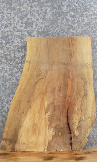 Thumbnail for Live Edge Spalted Maple Charcuterie Board/Butchers Block 40360