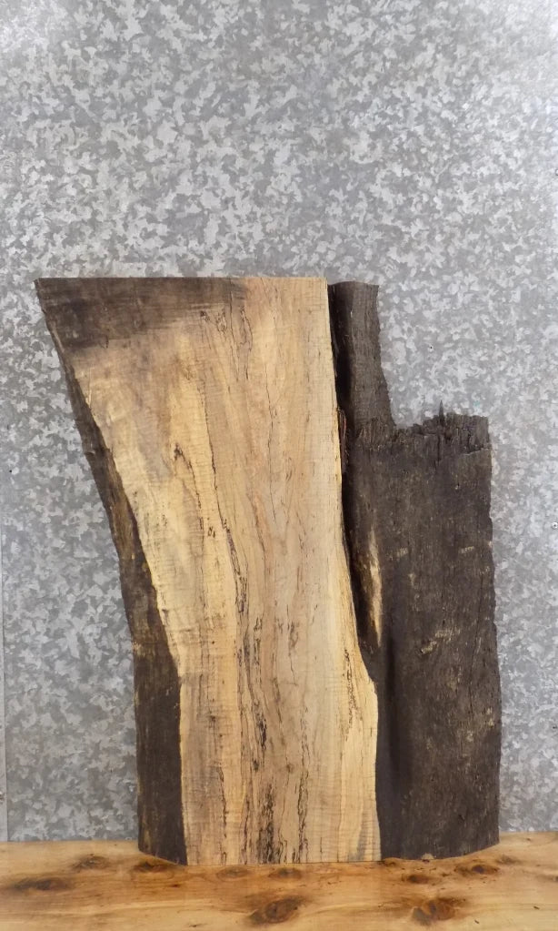 Spalted Maple Coffee/End/Accent Table Top Slab CLOSEOUT 40362