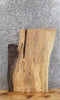 Thumbnail for Spalted Maple Coffee/End/Accent Table Top Slab CLOSEOUT 40362