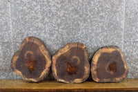 Thumbnail for 3- Rustic Round Cut Live Edge Black Walnut Craft Pack Slabs 40396