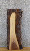 Thumbnail for Black Walnut Live Edge Salvaged End/Entry Table Top Slab 40397