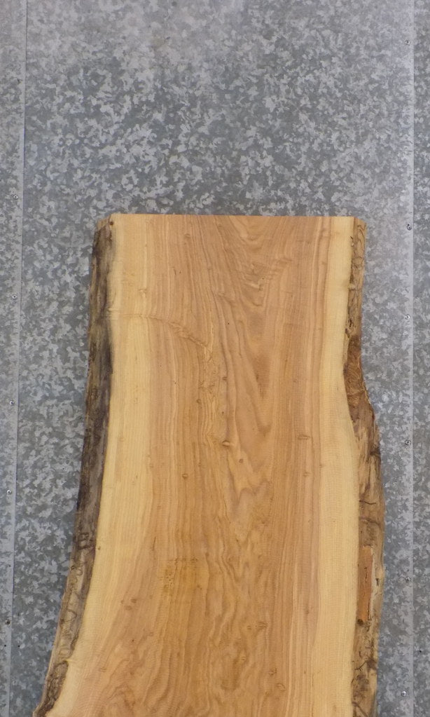 Natural Edge Salvaged Ash Bar/Table/Desk Top Wood Slab 403