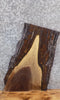Thumbnail for Live Edge Black Walnut Taxidermy Mount/Accent Table CLOSEOUT 40409