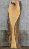 Thumbnail for Natural Edge Ash Sofa/Cocktail Table Top Wood Slab CLOSEOUT 40571