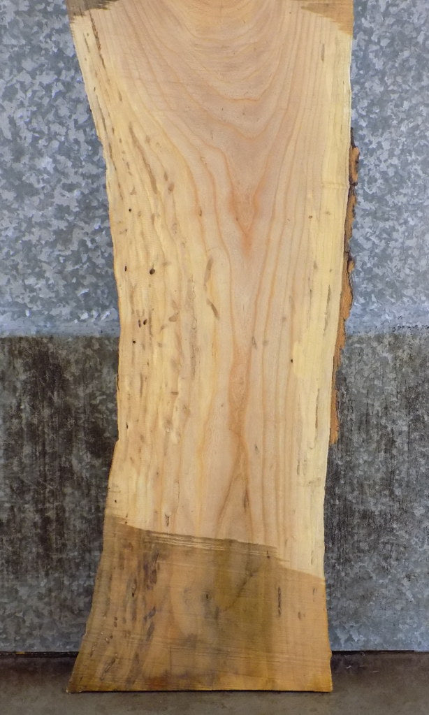 Natural Edge Ash Sofa/Cocktail Table Top Wood Slab CLOSEOUT 40571
