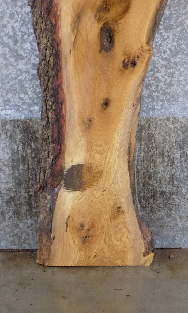 Natural Edge White Oak Bar/Cocktail Table Top Slab CLOSEOUT 40573