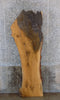 Thumbnail for Natural Edge White Oak Bar/Cocktail Table Top Slab CLOSEOUT 40573