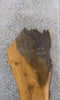 Thumbnail for Natural Edge White Oak Bar/Cocktail Table Top Slab CLOSEOUT 40573