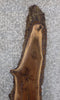 Thumbnail for Live Edge Bark Black Walnut Accent Table Top Slab CLOSEOUT 40576
