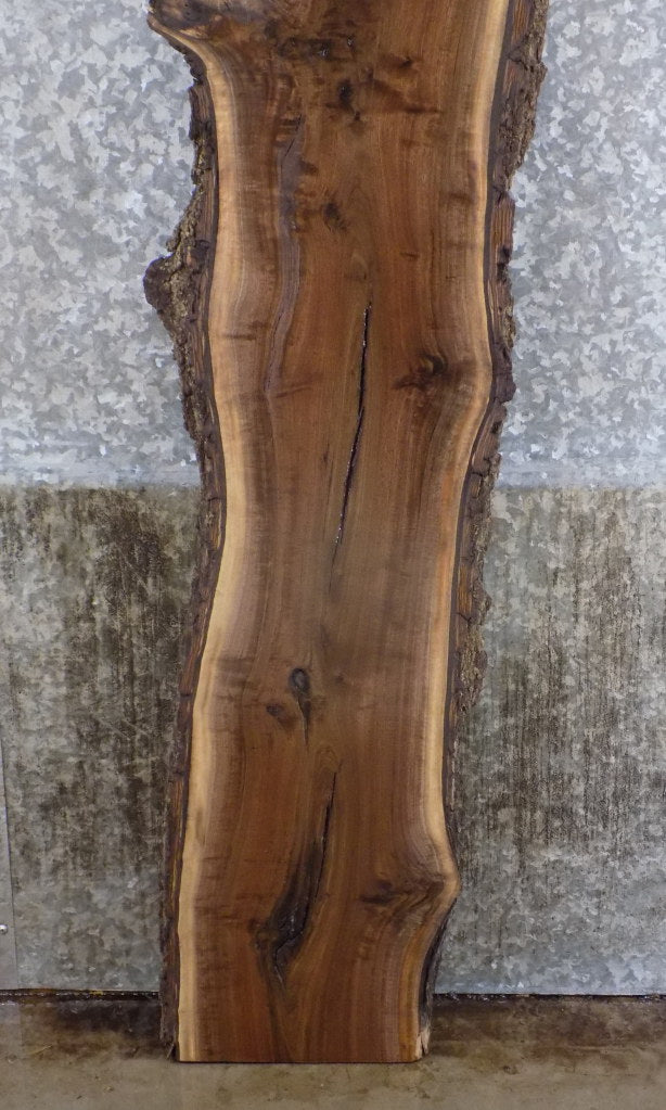 Live Edge Bark Black Walnut Accent Table Top Slab CLOSEOUT 40576