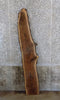 Thumbnail for Live Edge Bark Black Walnut Accent Table Top Slab CLOSEOUT 40576