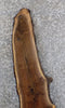 Thumbnail for Live Edge Bark Black Walnut Accent Table Top Slab CLOSEOUT 40576