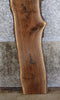 Thumbnail for Live Edge Bark Black Walnut Accent Table Top Slab CLOSEOUT 40576