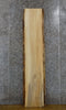 Thumbnail for Natural Edge Maple Sofa/Cocktail Table Top Wood Slab CLOSEOUT 40577
