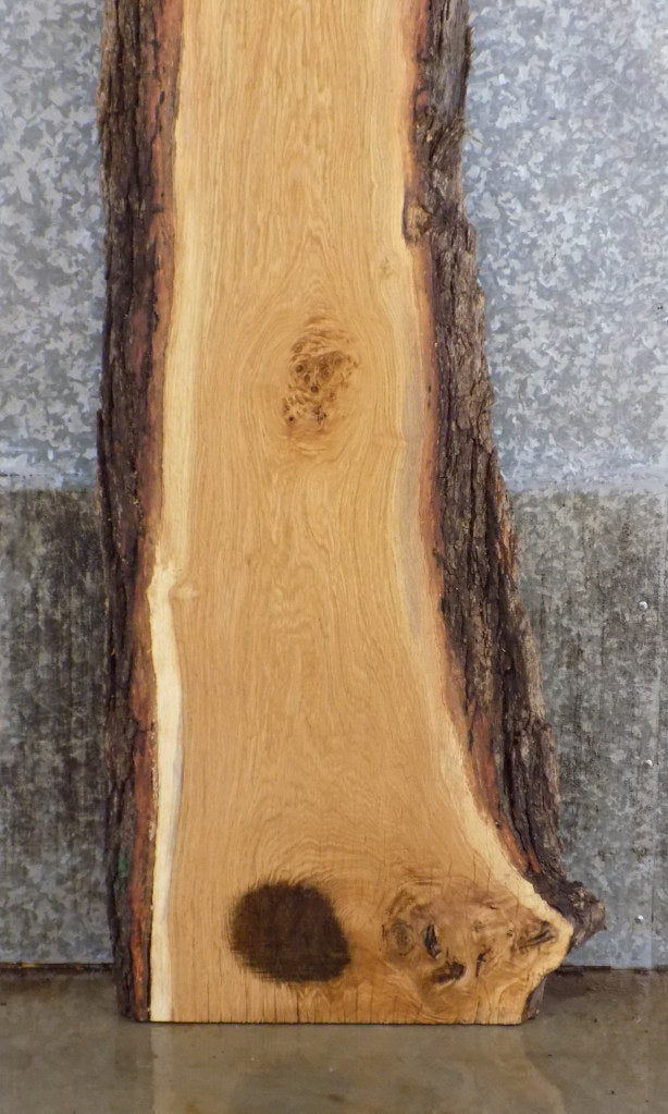 White Oak Live Edge Bark Rustic Bar Table Top Slab CLOSEOUT 40580