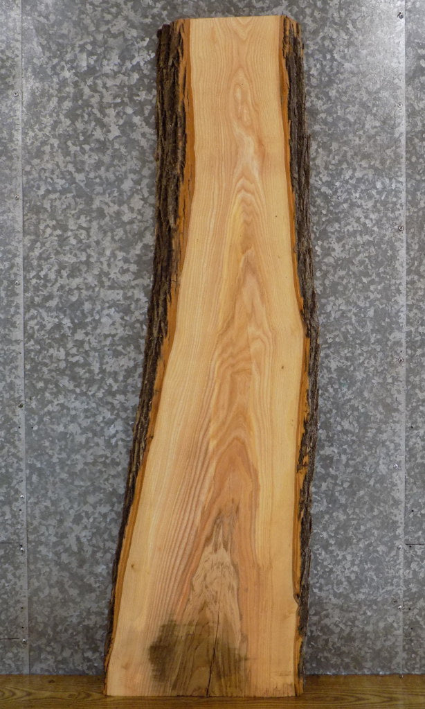 Live Edge Bark Rustic Ash Desk/Reception Table Top Slab 40582