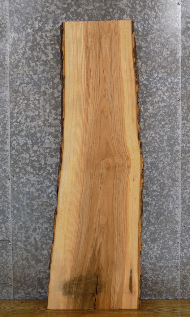 Live Edge Bark Salvaged Ash Desk/Reception Table Top Slab 40586
