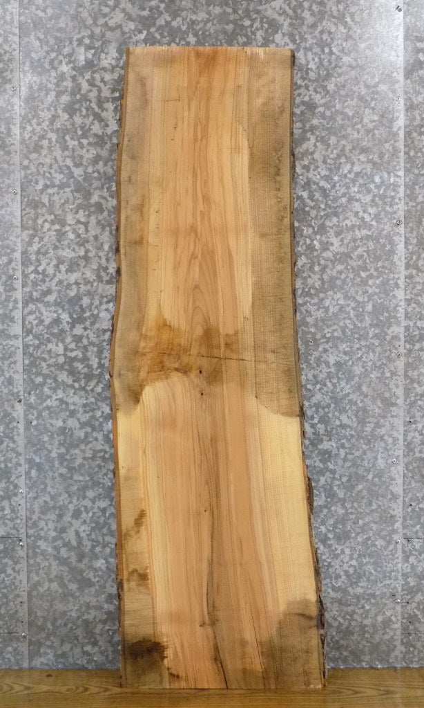 Live Edge Bark Salvaged Ash Desk/Reception Table Top Slab 40586