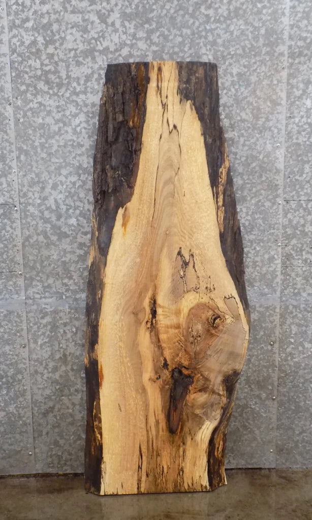 Live Edge Spalted Maple Mantel, Coffee Table Top Slab 40592