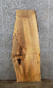 Thumbnail for Live Edge Spalted Maple Mantel, Coffee Table Top Slab 40592