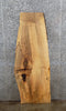 Thumbnail for Live Edge Spalted Maple Mantel, Coffee Table Top Slab 40592