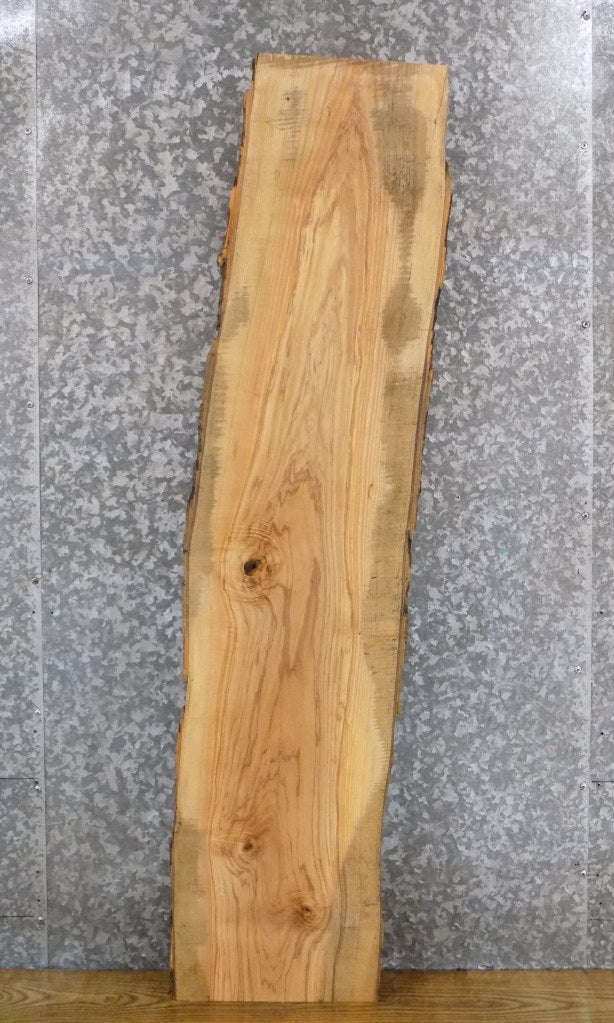 Salvaged Live Edge Bark Ash Sofa/Reception Table Top Slab 40598