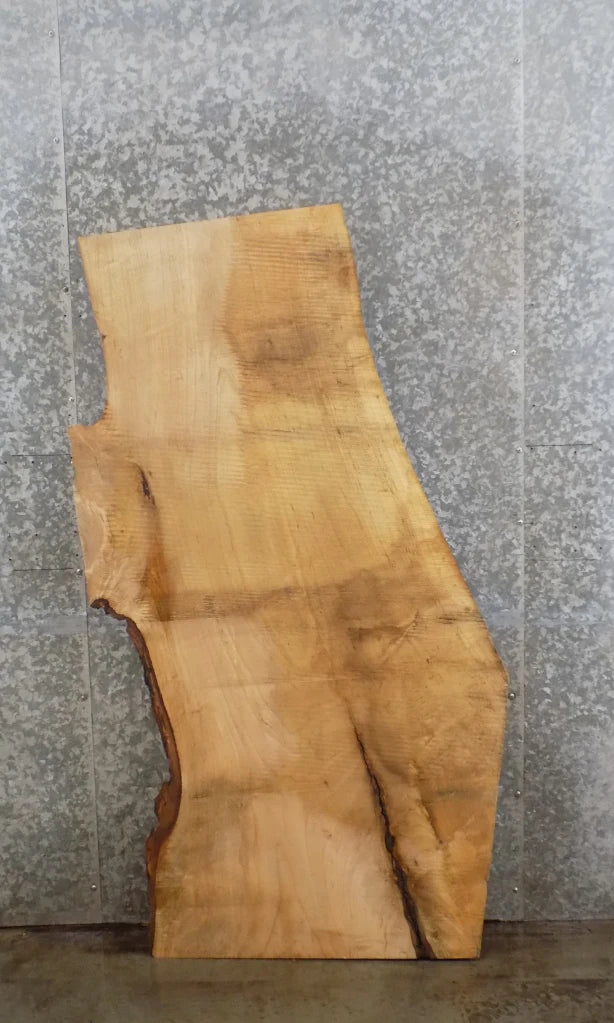 Live Edge Maple Coffee/Accent/End Table Top Slab 45065