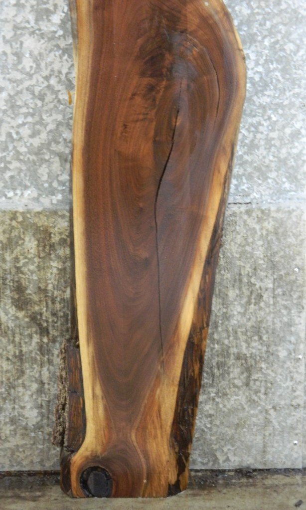 Live Edge Black Walnut Sofa Table/Bar Top Wood Slab CLOSEOUT 40608
