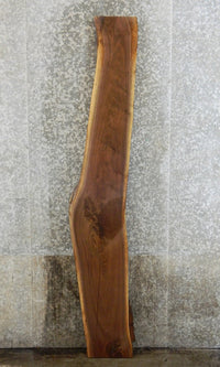 Thumbnail for Live Edge Black Walnut Sofa Table/Bar Top Wood Slab CLOSEOUT 40608