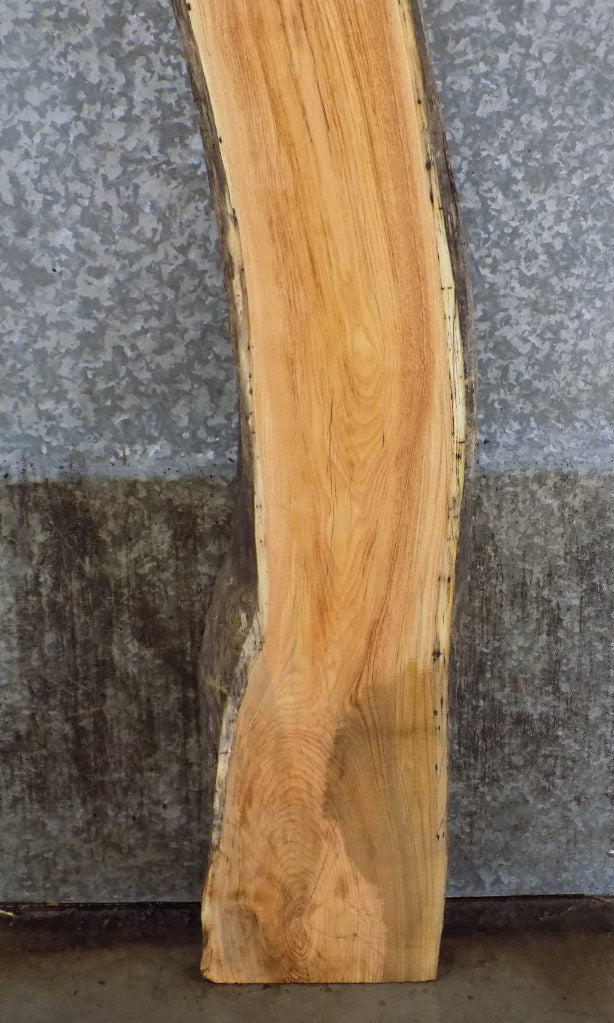 Rustic Live Edge Locust Sofa Table, Headboard Slab 40610