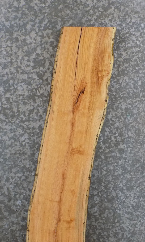 Rustic Live Edge Locust Sofa Table, Headboard Slab 40610