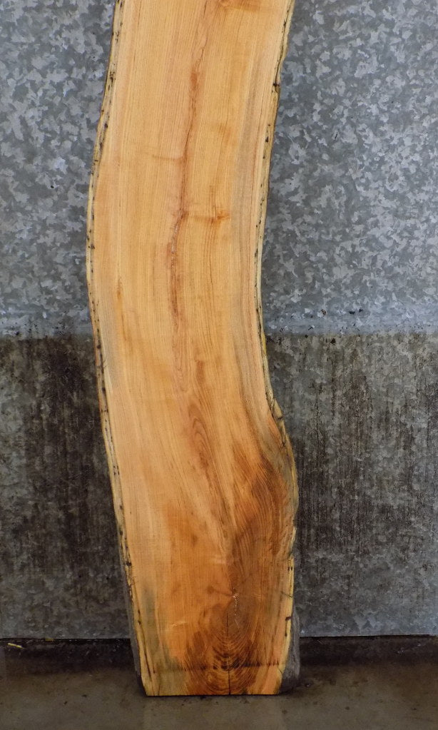 Rustic Live Edge Locust Sofa Table, Headboard Slab 40610