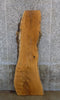Thumbnail for Live Edge White Oak Reclaimed Bar Top/Headboard Slab CLOSEOUT 40615