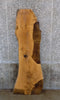 Thumbnail for Live Edge White Oak Reclaimed Bar Top/Headboard Slab CLOSEOUT 40615