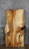 Thumbnail for Live Edge Spalted Maple Desk/Coffee Table Top Slab 4061